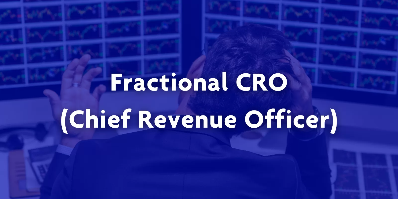 Fractional CRO (Chief Revenue Officer)